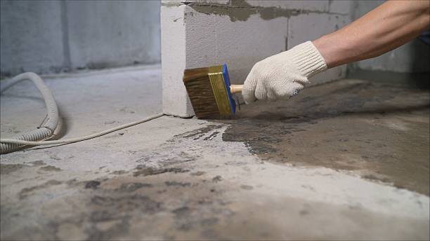 SJ Waterproofing Pros Basement Waterproofing coverage map for Doylestown, WI and surrounding area